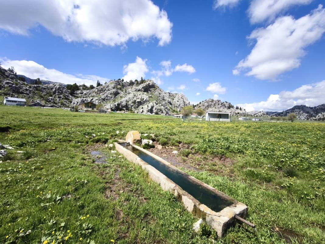 Konya’nın ünlü yaylasında baharın renkli yüzü çıktı 14